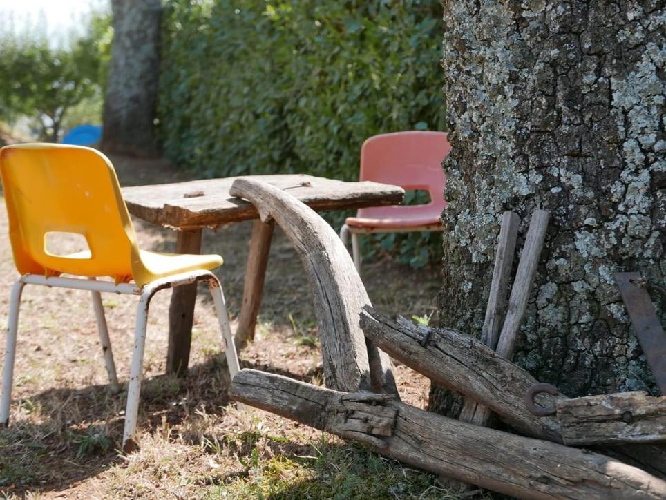 Al Bosco Delle Api Hotel Gallicchio Exterior photo