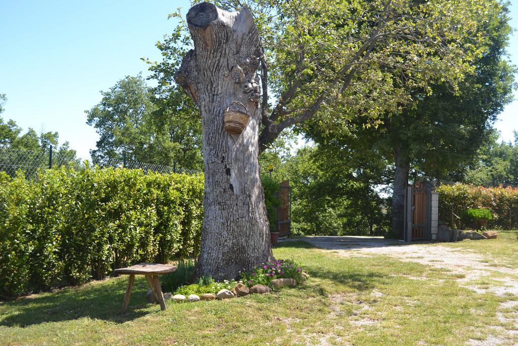Al Bosco Delle Api Hotel Gallicchio Exterior photo