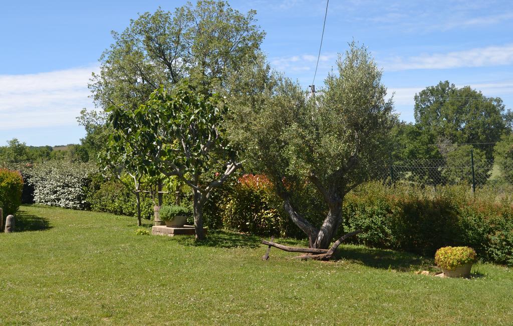 Al Bosco Delle Api Hotel Gallicchio Exterior photo