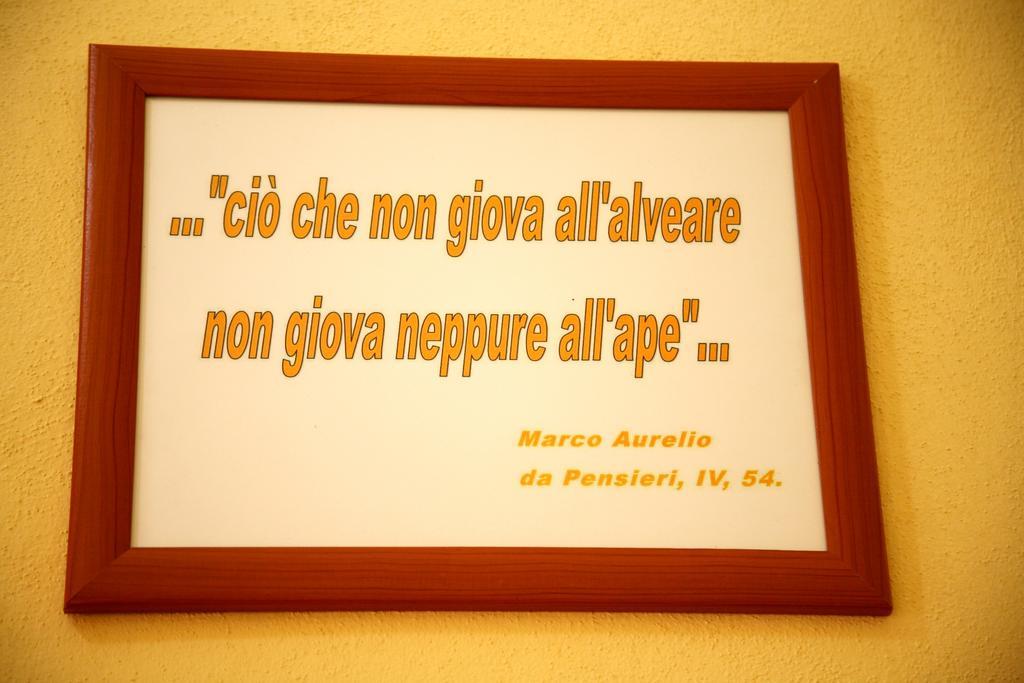 Al Bosco Delle Api Hotel Gallicchio Exterior photo